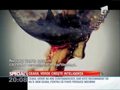 Special! Ceaiul verde creşte inteligenţa