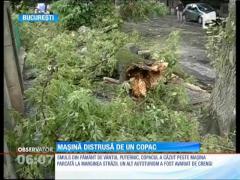 Furtună cu ghinion!