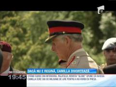 INFORMAŢIE BOMBĂ! Prinţul Charles şi Camilla vor divorța