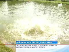 Scăldatul în parcuri este gratuit, dar ilegal