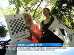 Bucureştiul este Capitala Aşilor de pică