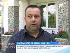 Ursul a băgat spaima în oameni!