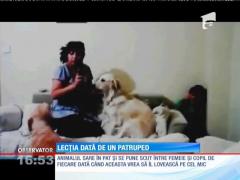 Lecţia dată de un patruped