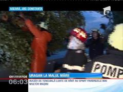 Prăpăd la malul mării!