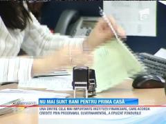 Observator de weekend