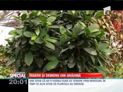 Special! Îngerii și demonii din grădină