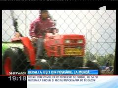 Deținutul Gigi Becali s-a întors la muncă