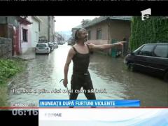 Ploaia a făcut prăpăd