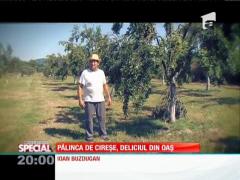 Special! Pălinca de cireșe, deliciul din Oaș
