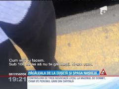 Trenul, o afacere doar pentru naşi