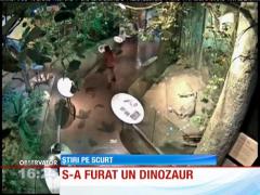 Un cuplu din Statele Unite a furat un dinozaur
