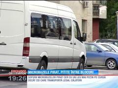 Microbuzele pirat, pitite între blocuri