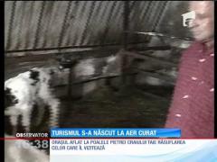 Observator 16 Weekend