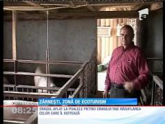 Zărnești, zonă certificată recent pentru ecoturism