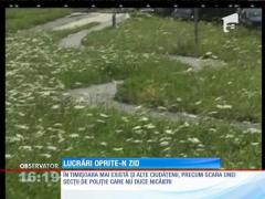 Locul în care te plimbi cu bicicleta în zid