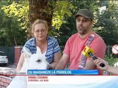 Cu maidanezii la psiholog