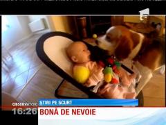 Cățelușul impresionat de plânsul unui bebeluș