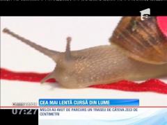 Cea mai lentă cursă din lume a avut loc pe o pajişte din înseninata Anglie!