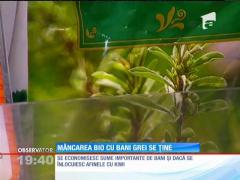 Românii renunţă la vacanţe pentru alimentele bio