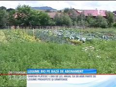 Legume bio pe bază de abonament