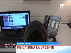 Pisica care sună la 911