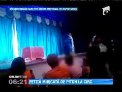 O fetiţă a fost muşcată de un piton la circ