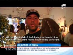 În Tokyo s-a deschis cafeneaua bufnițelor