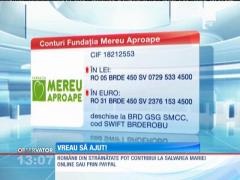 Observator 13 Weekend