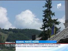 Scandal pe o păşune