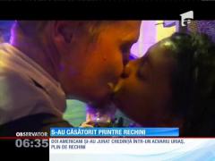 Căsătorie printre rechini!