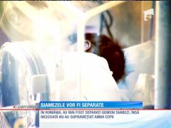 Siamezele din Braşov vor fi separate, în Capitală