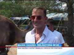 Radu Mazăre a ridicat în braţe un leu și a hrănit un pui de girafă