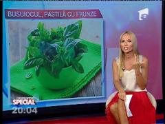 SPECIAL! Busuiocul pe bucate, sănătate curată