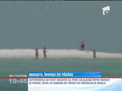 Nudiștii, învinși de păsări