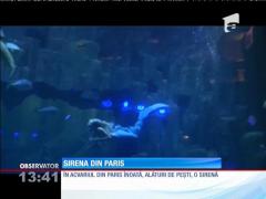 Dansează sub apă şi înoată alături de peşti! SIRENA studentă la SORBONA!