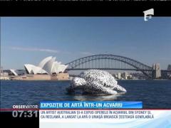 O uriaşă broască ţestoasă a apărut în portul Sydney