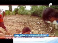 Luana, un înger pentru necuvântătoare, s-a stins