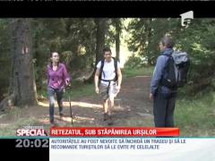 SPECIAL! Retezatul, sub stăpânirea urșilor