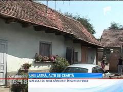 O femeie a adunat în curte zeci de câini, iar vecinii nu mai rezistă din cauza zgomotului şi a mirosului