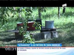 Forfotă mare în Ţara Oaşului. "Stranierii" s-au întors acasă, în concediu