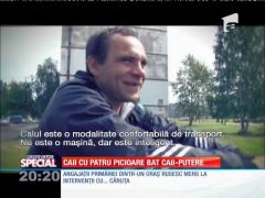 SPECIAL! Caii cu patru picioare bat caii-putere