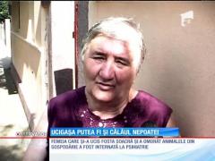 Femeia care și-a ucis soacra putea fi și călăul nepoatei