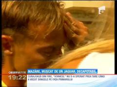 ACCIDENT! Radu Mazăre s-a lovit cu capul de propria mașină
