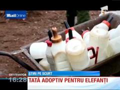 Un bărbat din Kenya a devenit părinte adoptiv pentru 21 de elefanţi