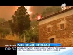 Incendii de amploare, în Portugalia
