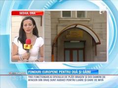 Fonduri europene pentru ouă şi găini