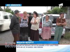 Urs de aproape 200 de kilograme, găsit prins într-un laţ