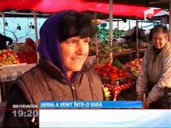 Iarna a venit în România