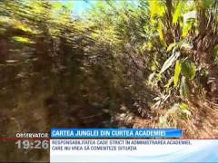 Casa Academiei din Bucureşti, decor perfect pentru Cartea Junglei