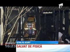 INCREDIBIL! Bărbat salvat de pisică!